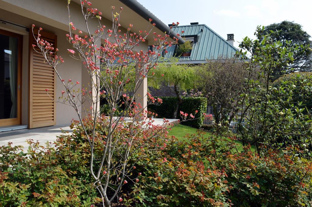 B&B La Casa Di Angela クザーゴ エクステリア 写真